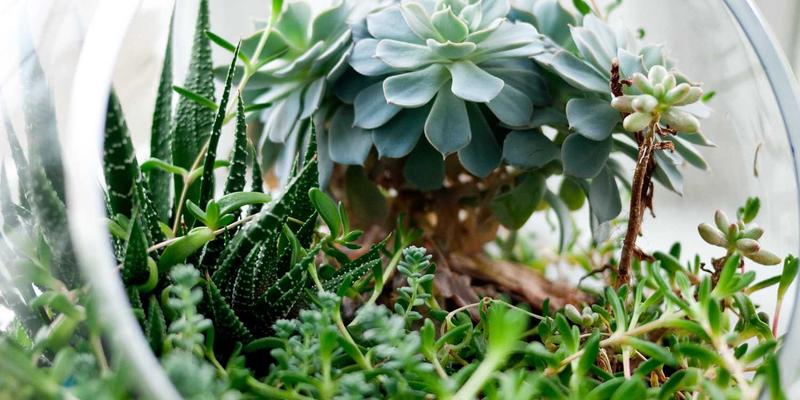 精密制造如何赋能未来教育？从保定星河学区看工业思维与教育资源的深度融合